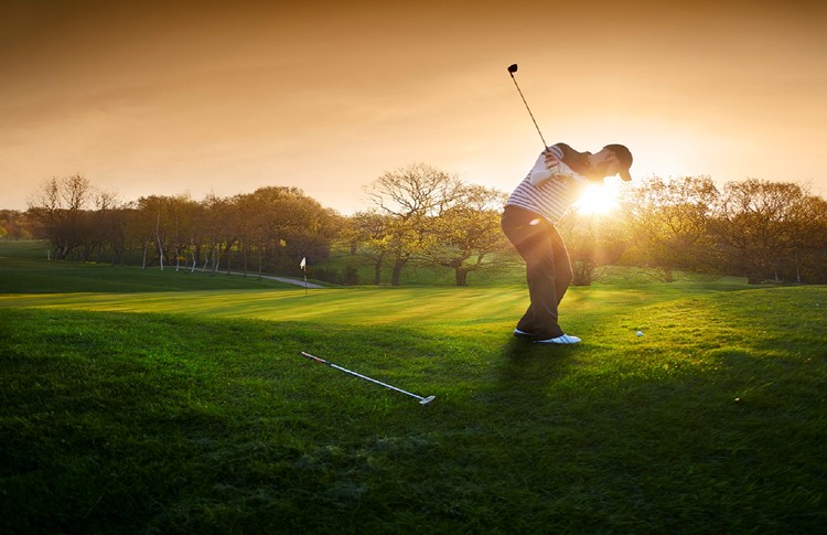 Istock 481358874 Copy